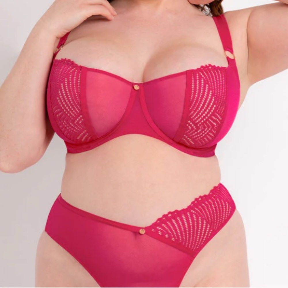 New with tags bra from curvy Kate in 36HH